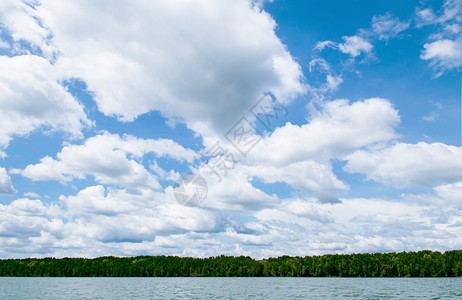 蓝色天空夏日白云热带绿红树林图片