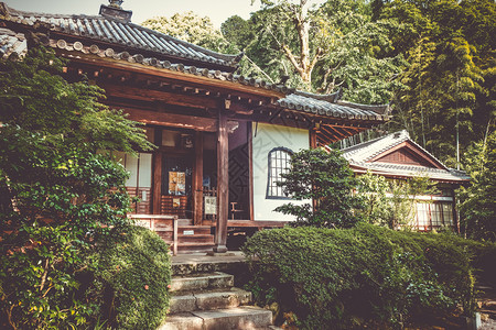 日本京都寺庙花园中的奇昂建筑日本京都寺庙花园中的香椿图片
