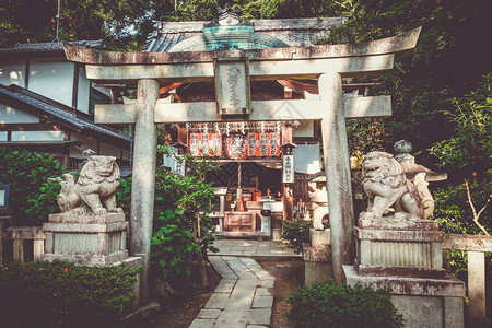 日本京都寺庙花园中的奇昂建筑日本京都寺庙花园中的香椿图片