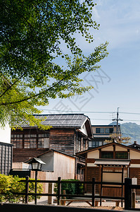 2013年5月6日gifujapn古老的房屋和城镇hideafurkw镇的jpnesgiko树图片