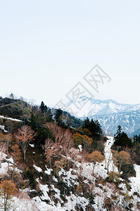 Tateymkurobe高山上的雪和树图片