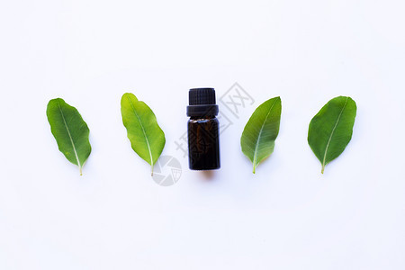 eucalypts油瓶白底有eucalypts叶子图片