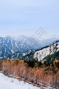 Tateymkurobe高山上的雪和树图片