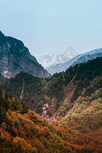 秋天Kurobe水坝山谷自然场景图片