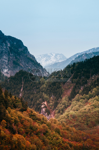 秋天Kurobe水坝山谷自然场景图片