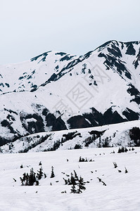 Tatemykurobe高山路线上的日本中加哈拉的异国自然景象图片