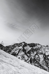 阿尔卑斯山上的雪和树图片