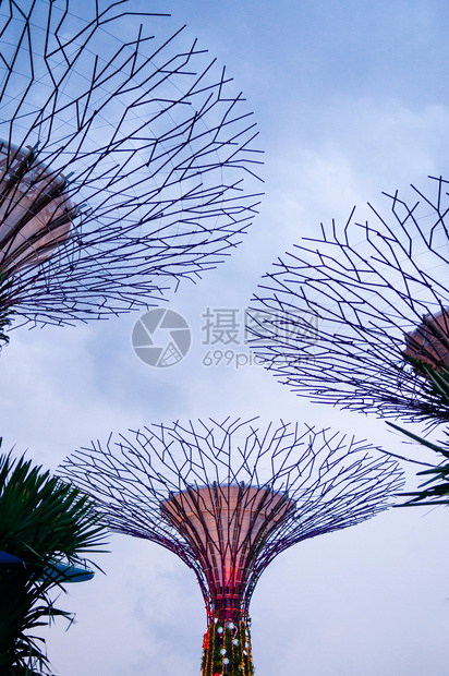 2013年12月18日新加坡新加坡海湾花园超级树林充满活力的色彩现代设计夜景图片