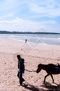 2013年8月日的songkhlatindsilhouet图片是小马及其主人在夏季著名的samil海滩上行走图片