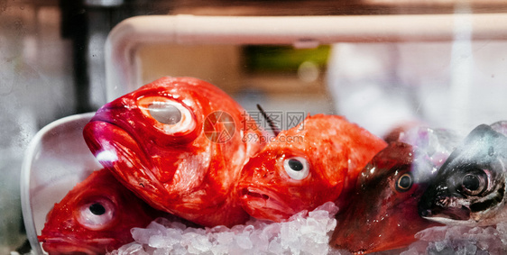 红的花或在日本餐厅冰上盛大的花生酱以换取超薄寿司图片