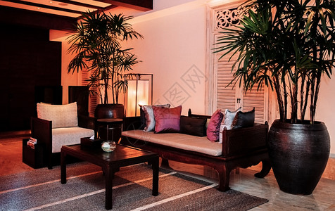 2013年8月日泰国塔伊热带客厅配有木制家具扶椅大瓷锅中的灌木树彩色丝绸枕头图片