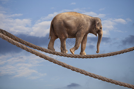 大象在天空中的杂技表演在绳子上行走图片