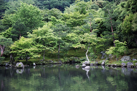 在日本京都的花园图片