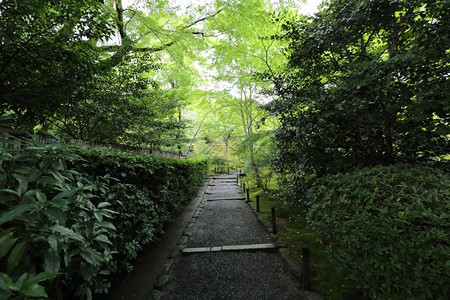 在日本京都的花园图片