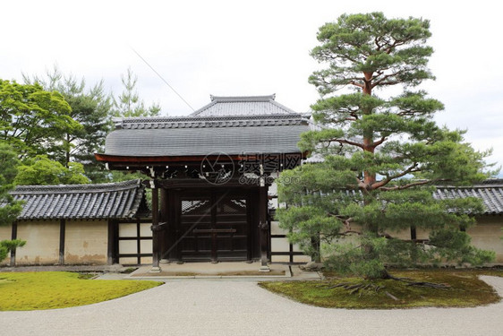 日本的寺庙有红门和京都的绿树叶图片