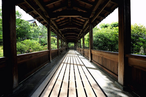 Japn寺庙木柴与日本花园京都寺庙一道行走图片