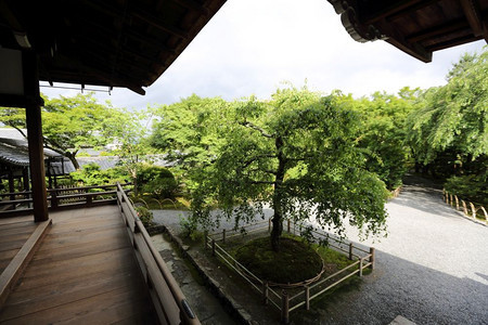 Japn寺庙木柴与日本花园京都寺庙一道行走图片