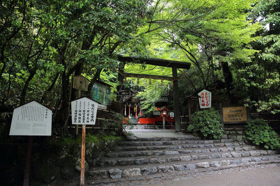 日本的寺庙有红门和京都的绿树叶图片