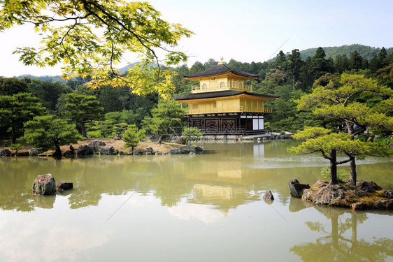 在日本京都金色的殿堂图片
