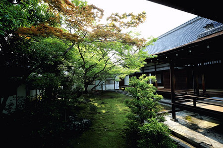 在日本寺庙的花园图片