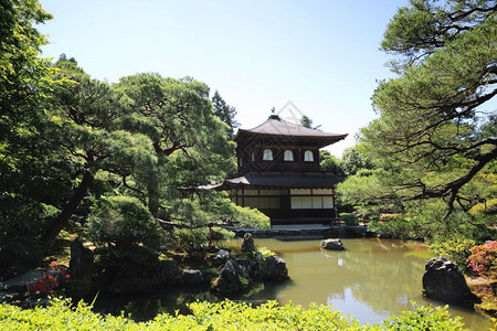 小溪流水日本京都的ginkauji寺庙背景