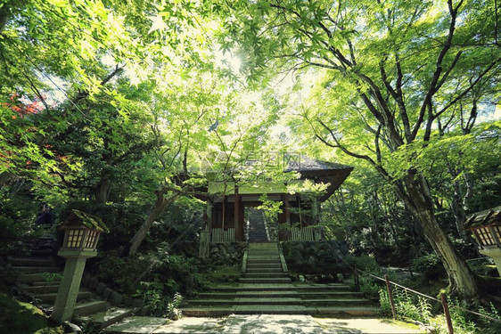 花园中的日本神庙图片