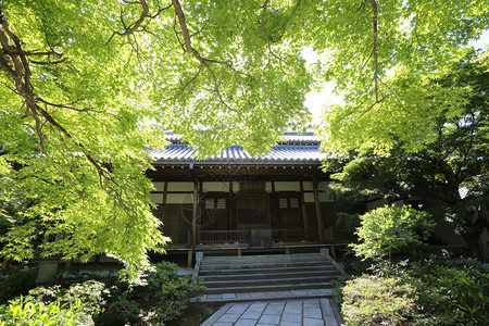 花园中的日本神庙图片