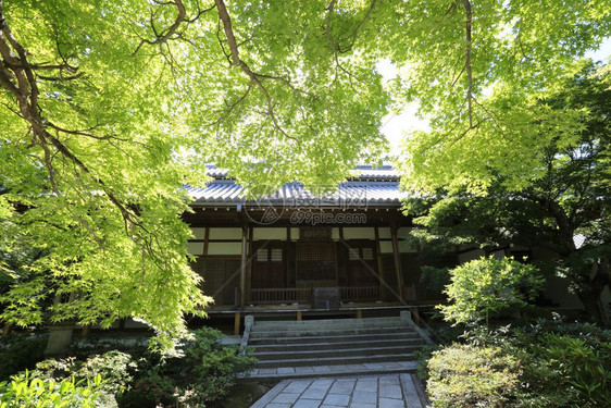 花园中的日本神庙图片