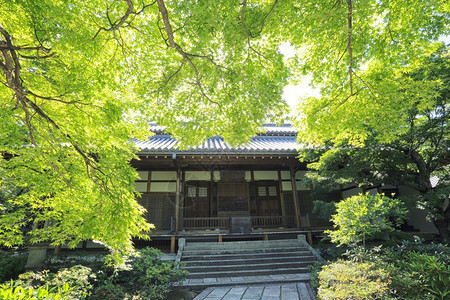 花园中的日本神庙图片