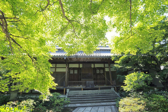 花园中的日本神庙图片