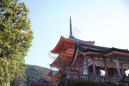 日本京都的基约米祖寺庙图片