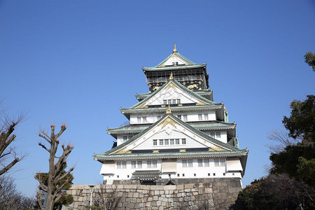 玫瑰城堡蓝天日本城堡图片