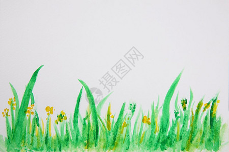 抽象的草水颜色背景纹理图片