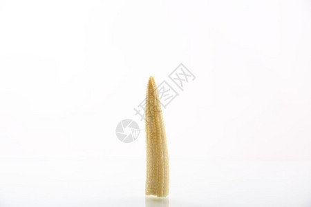 白色背景中的玉米蛋白图片