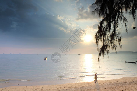 海滩上的热带日落图片