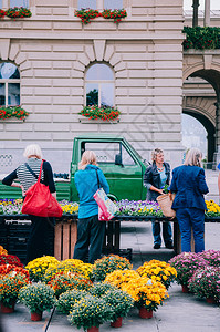 2013年9月8日瑞士威忌兰switzerland一位瑞士女在晨市的当地花店购买朵图片