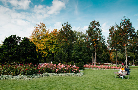 欧洲瑞士人民坐在玫瑰园的长椅上图片
