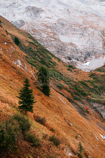 瑞士安格尔堡的宽阔草地和雪山图片