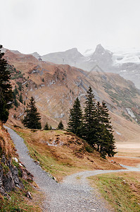 乡村风景观在恩格尔堡山顶脚上的松树湖旁有徒步足迹的乡村风景图片