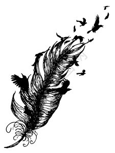 飞鸟和羽毛背影黑白纹身设计图片