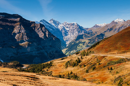 Swisalp山丘的全景从Kydfrau地区的Eiegrltschr到远谷图片