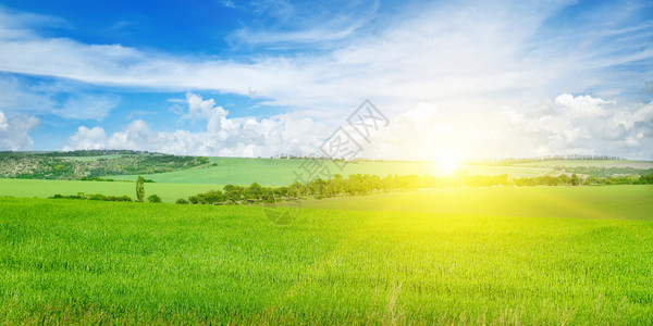 绿色的田野和蓝天空有光云地平线上是明亮的日出农业景观宽阔的图片图片