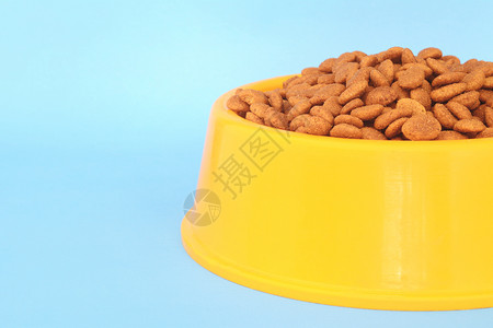 黄塑料碗满狗食浅蓝色背景宠物喂养和照料概念背景图片