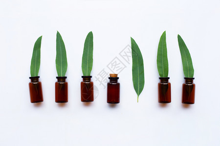 白底叶子的eucalypts油瓶最高视图图片