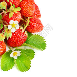 在白色背景中孤立的草莓和绿叶文本空闲间图片