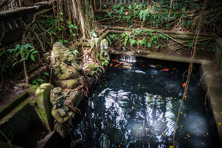 在神圣的猴子森林中一个池塘附近的甘士雕像乌布德巴利因多尼西亚在猴子森林中一个池塘附近的甘士雕像乌布德因多尼西亚图片