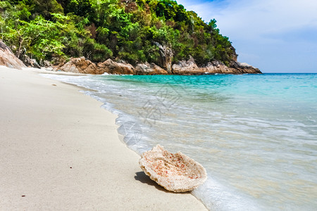 珊瑚在浪漫的海滩佩尔亨田群岛马来西亚珊瑚在海滩上婆罗门群岛马来西亚图片