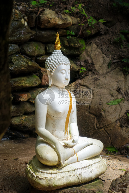 丛林中的白布达雕像瓦吉昂马伊泰王国的白布达雕像图片