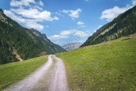 一条穿过绿山谷的道路图片