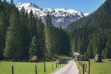 阳光明媚的风景通往森林和雪峰的乡村公路春天在威兹兰的圣加仑附近图片